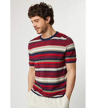 Мъжка многоцветна блуза с високо съдържание на памук снимка